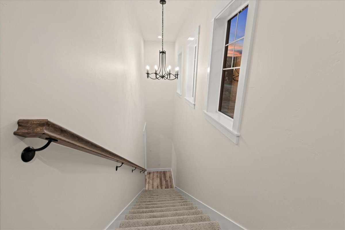 Kinzel, photo 72